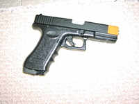 P1010004_(3).JPG