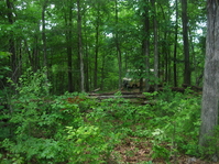 Operation_Eminent_Storm_V_May_2006_072.jpg