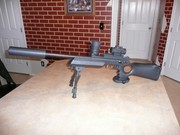 M98_punisher_004.jpg