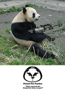 pandasneedgunsviaaroundzt0-424x600.jpg