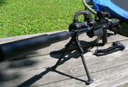 pbgun1.png