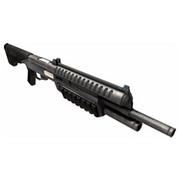 shotgun.jpg