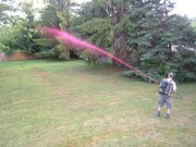IMG1319.jpg