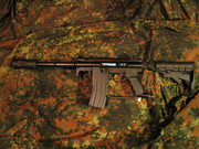 picture010ir6.jpg